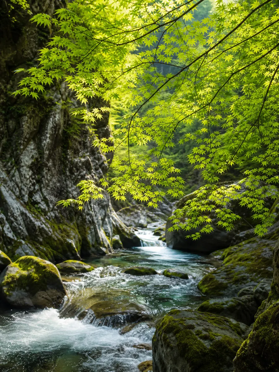 若葉と木漏れ日に包まれた春の山間の清流